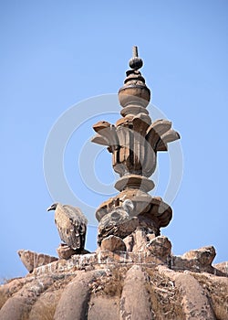 Two vultures building nest on top of dome of Jehanghir Mahal in India\'s Orchha