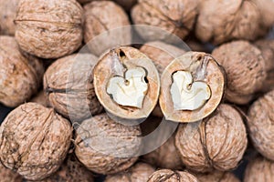 Two walnuts hearts