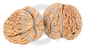 Two walnuts, isolated on white background