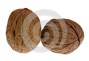 Two fresh walnuts isolated on white