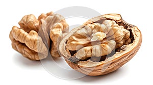 Two walnuts in shell on white background