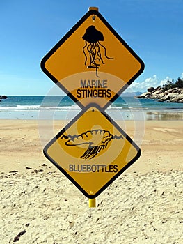 Two warning signs on a beach warning of dangerous marine stingers and bluebottle jelly fis
