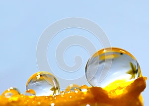 Two water drops