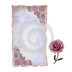 Two watercolor blank sheets of vintage parchment paper with a half erased image of antique Victorian roses for