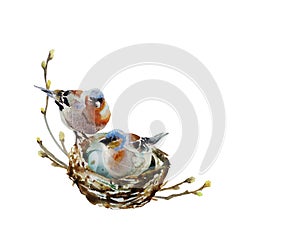 Two watercolor chaffinch birds into the nest with small eggs in a frame of small twigs with buds. Original corner spring pattern