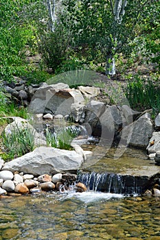 Two Waterfalls in a stream in the Boise, Idaho foothills.