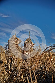 Two waterfowl hunters shooting with rifle into sky