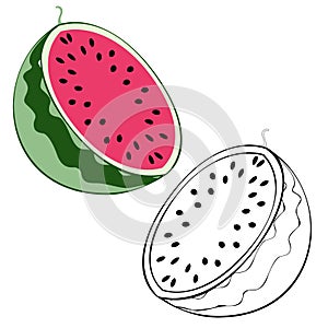 Two watermelon halves on white background
