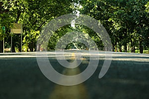 Road way with tunnel of trees. photo