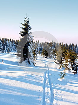 Two ways for cross country skiing in winter mountains.