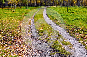 Two ways among the grass are parallel and lead in the same direction. Autumn landscape