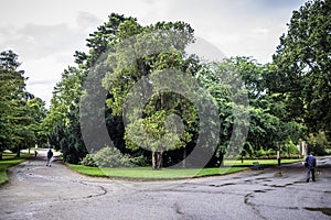 Two ways in Jardin des Plantes in Toulouse