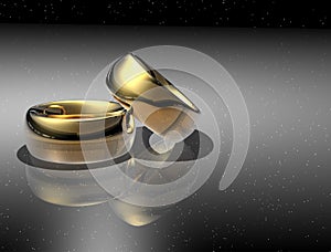 Two wedding ring