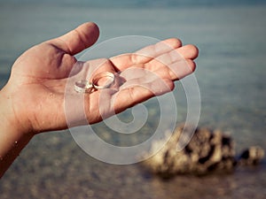 Two wedding rings