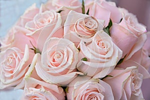 Two wedding rings on colorful bouquet pink roses, close up