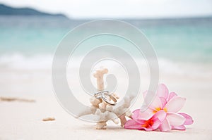 Two wedding rings on coral in front of the seaside