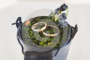 Two wedding rings on the grass in a metal bucket