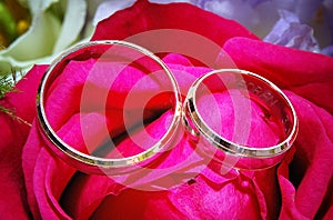 Two wedding rings on red rose flower