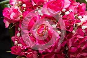 Two wedding rings, red roses