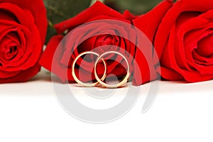 Two wedding rings and red roses isolated on white