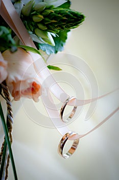 Two wedding rings on a ribbon