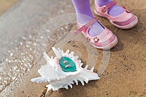 Two wedding rings in shell