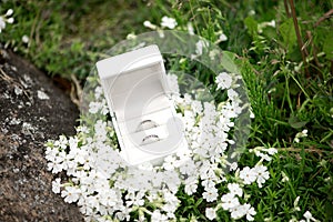 Two wedding silver rings in a beautiful white box on white flowers and green grass