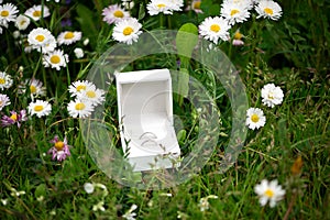 Two wedding silver rings in a beautiful white box on white flowers and green grass