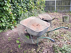 Two wheelbarrows in the garden full of dirt