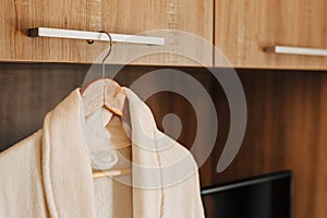 Two white bathrobes inside a cabinet with an open door and a TV niche.