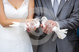 Two white birds - pigeons - on hands of bride and groom