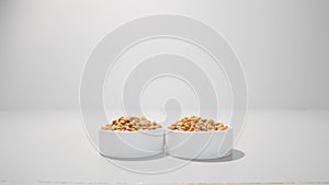 Two white bowls with dry diet food for dogs or cats. Clean studio background close up isolated objects photo image.