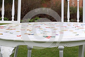 Two White Chair and Table in The Garden. photo