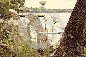 Two white chairs by the lake with daises behind