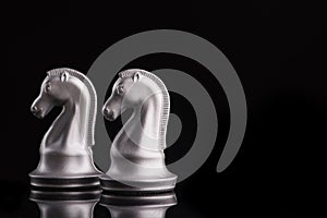 Two white chess knights