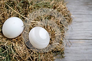 Two white chicken eggs lie in the hay on a blurry wooden background. Selective focus. Space for lettering and design