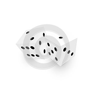 Two white dice with black dots. 3D vector object with dropped shadow