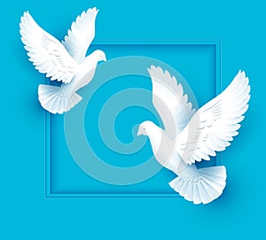 Two white dove fly on blue background