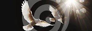 Two white doves fly on a black aesthetic background with sun rays. Peace concept. Generative AI