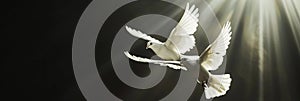 Two white doves fly on a black aesthetic background with sun rays. Peace concept. Generative AI