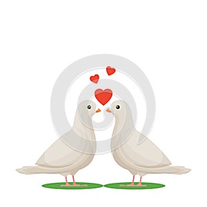 Two white doves in love. Love birds.