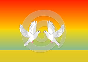 Two white doves in love vector illustration