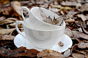 Two white empty cups on autumn leaves. Concept over time, old age, relationships and loneliness