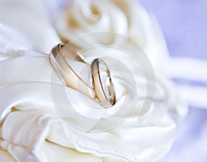 Two white gold wedding rings on satin fabric