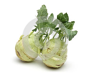 Two White kohlrabi