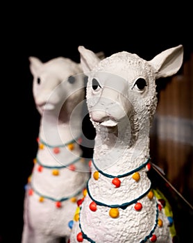 Two white Lama sculptures with colourful stings