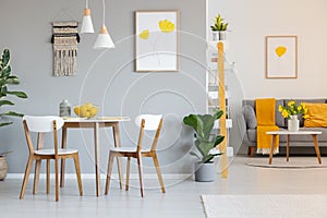 Two white lamps above a round dining table in open space apartment interior with yellow blanket on gray sofa. Real photo