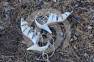 two white leather sandals shoes lie on the gray ground