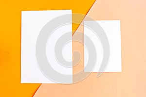 Two white mockup blanks on geometric orange background.