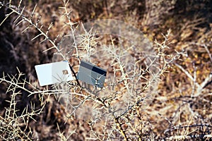 Two White Plastic Cards Lies Among Dry Thorns. The Concept Of Paying For Nature And Green Economy.